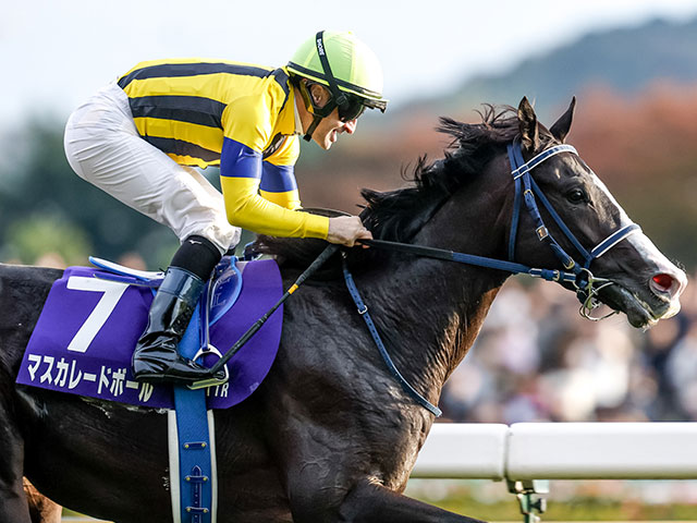 ڥѥCۥޥ졼ɥܡΥǥʤ11Ƭ