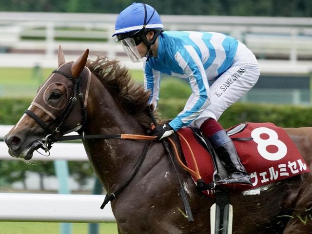 【エリザベス女王杯】鮫島克駿騎手がGI初制覇なるか 伏兵ヴェルミセルで一発狙う