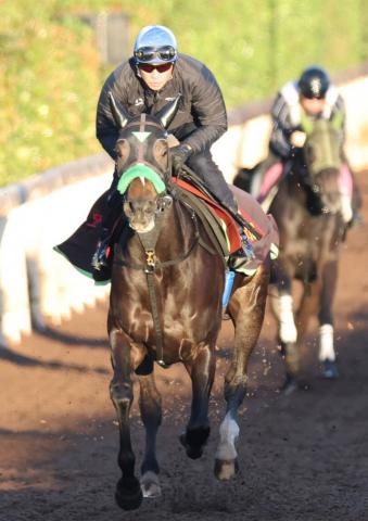 ڥꥶ٥աۥ쥸ɤδĶ!?˭꤬ꥫץ쥹˺ϩǵưϤɤä