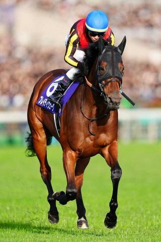 23ǯꥶ٥Ƽԥ֥쥤ǥϥѥC