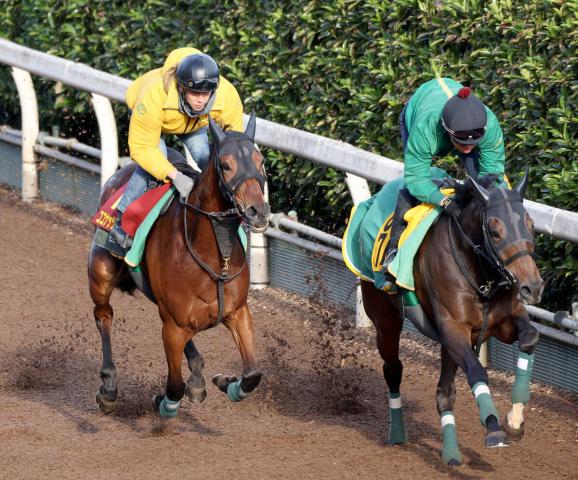 ڥꥶ٥աۡӤϸؤ˲ϡ׾¼ĴռΥʥåĥ֥饦͢