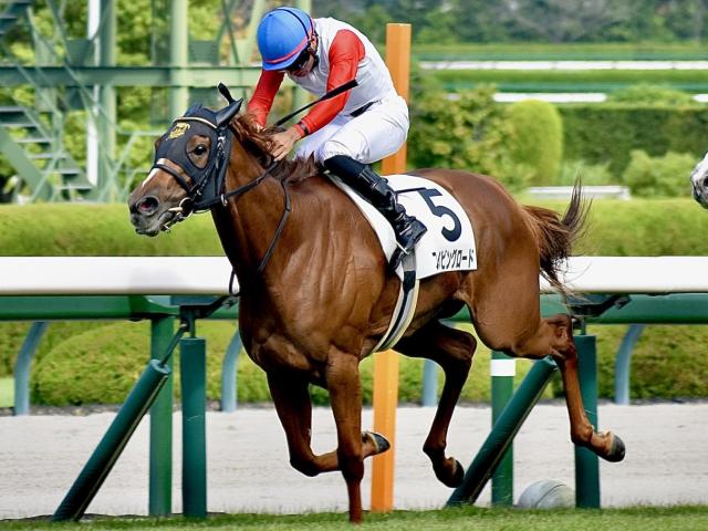 【奥多摩S】母はオークス馬ダイワエルシエーロ スライビングロードが3連勝でオープン入りなるか