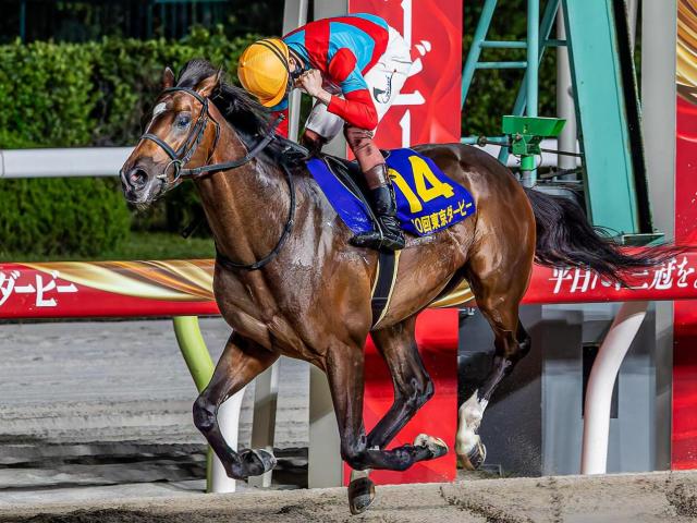 半兄は東京ダービー馬のラムジェット タイキブリッツェンがデビュー勝ちなるか