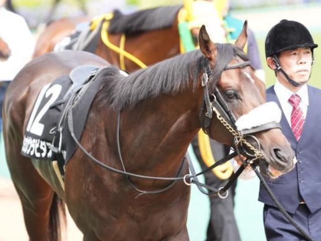 ڥɥ󥫥Cۥ쥯2.2ߤΥ祦ʥԥ ˾Υץʤ뤫