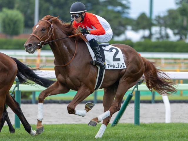 【黄菊賞】半姉はアーテルアストレア アーレムアレスが2勝目なるか