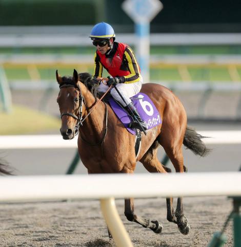 ưۥ֥쥤ǥϥѥCء2023ǯꥶ٥դƼ