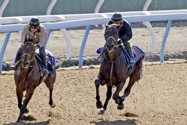 【武蔵野S】「使って息遣いがすごく良くなった」堀調教師が好感触のルクソールカフェ