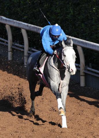 ڥǥ꡼2Sۥǥ϶ư!աŪˤĹƤƤ