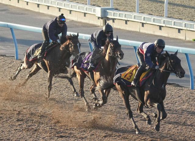 ¢SۥΥƻϽʬ!رĤɾ֤ϤΥ٥