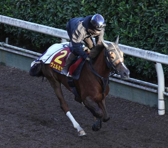 ڥꥶ٥աۥߥ롡٤⹥ֽĴꤤ