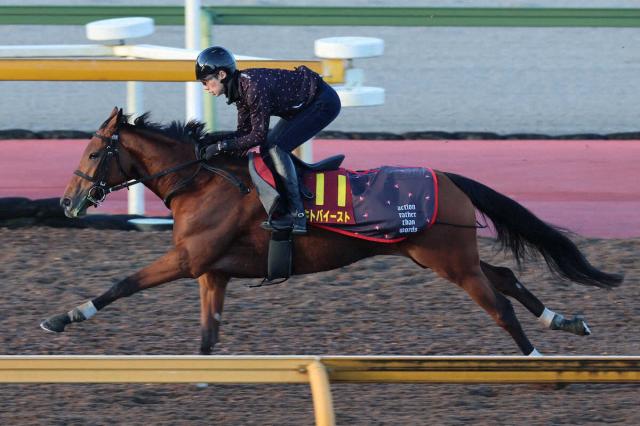 ڥꥶ٥աۥ祯ǯʾ١աְϤȯǤȻפ