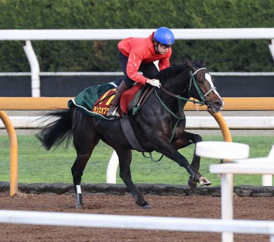 ڥꥶ٥աۥ󥹥֥ʸʤư!ƣֺεԤμǤ餤٥ȡ