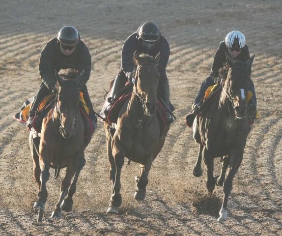 ڥꥶ٥աۥ쥬쥤顡G13ܤز!3Ƭʻǥ1F114