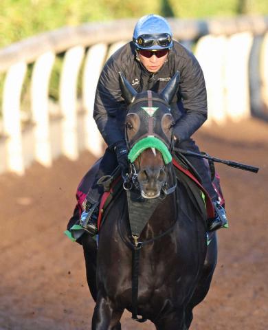 ڥꥶ٥աۥꥫץ쥹22Ϣй