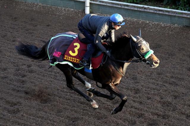 ڥꥶ٥աۥꥫץ쥹Υɤӱۤ!˭ϤΥꥺ˹碌ơ