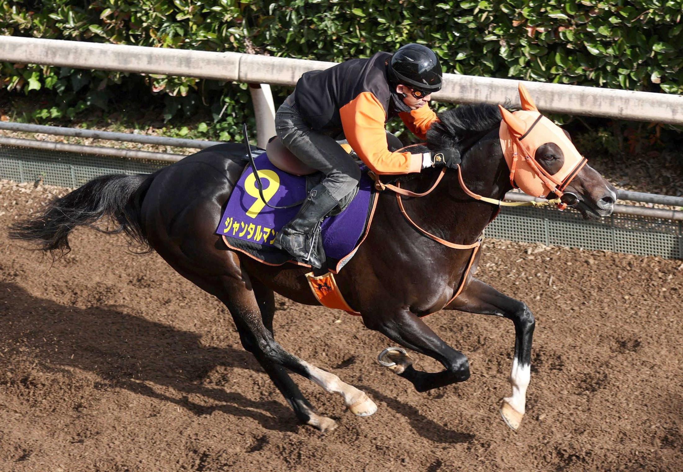【マイルＣＳ】ジャンタルマンタルに上昇ムード　高野師キッパリ「富士Ｓの時とは全然違う」