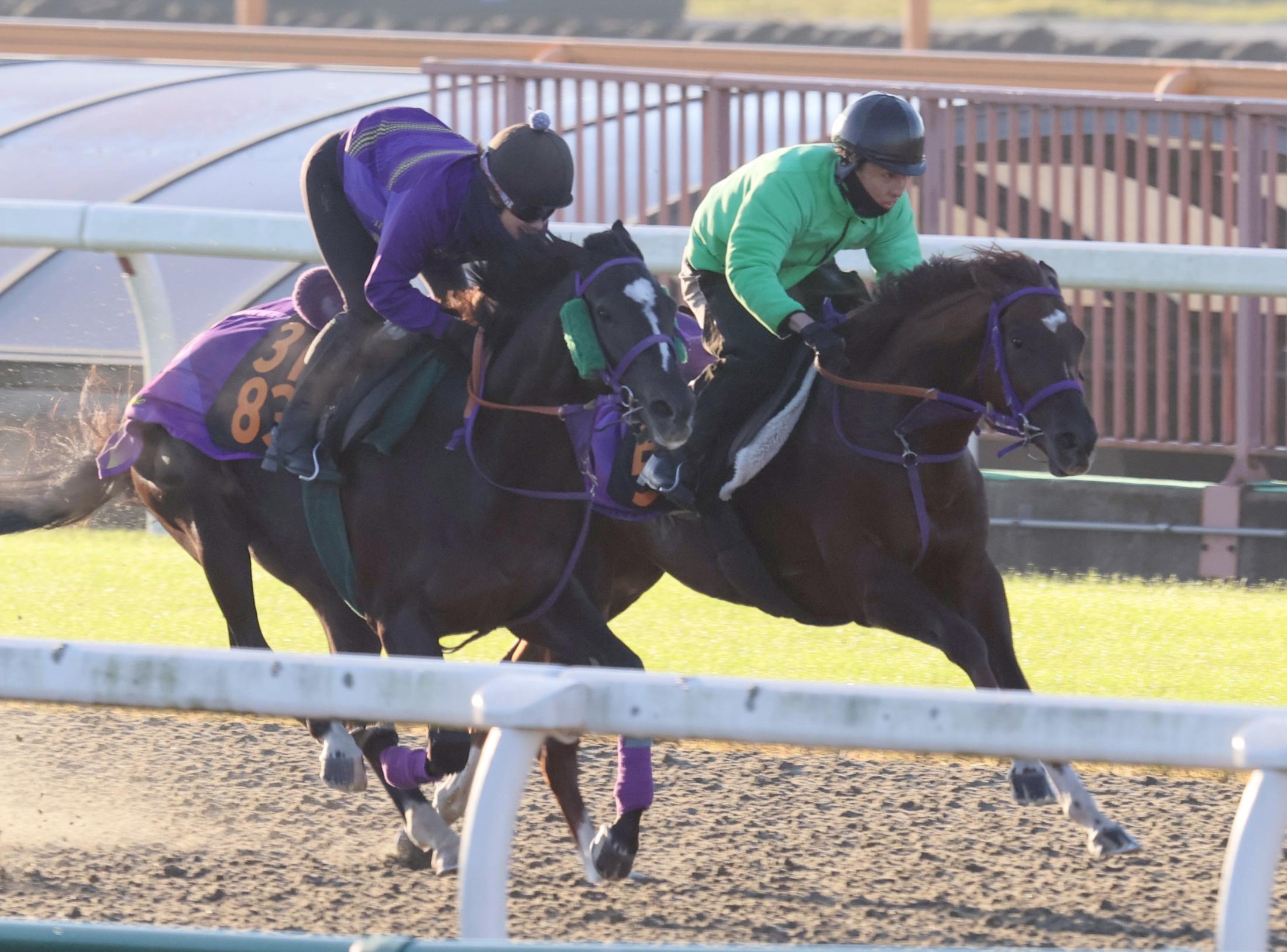 ڥǥ꡼գУӡۥ쥢饹ȣƤǹסѻաֵԤ礦Ȼפޤ