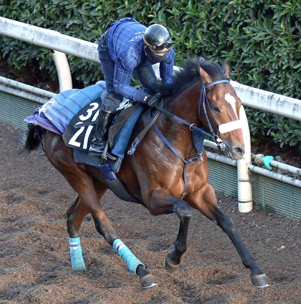 ڥǥ꡼գУӡۥåĥ̵Ϣ״פϹȲա֤ޤС