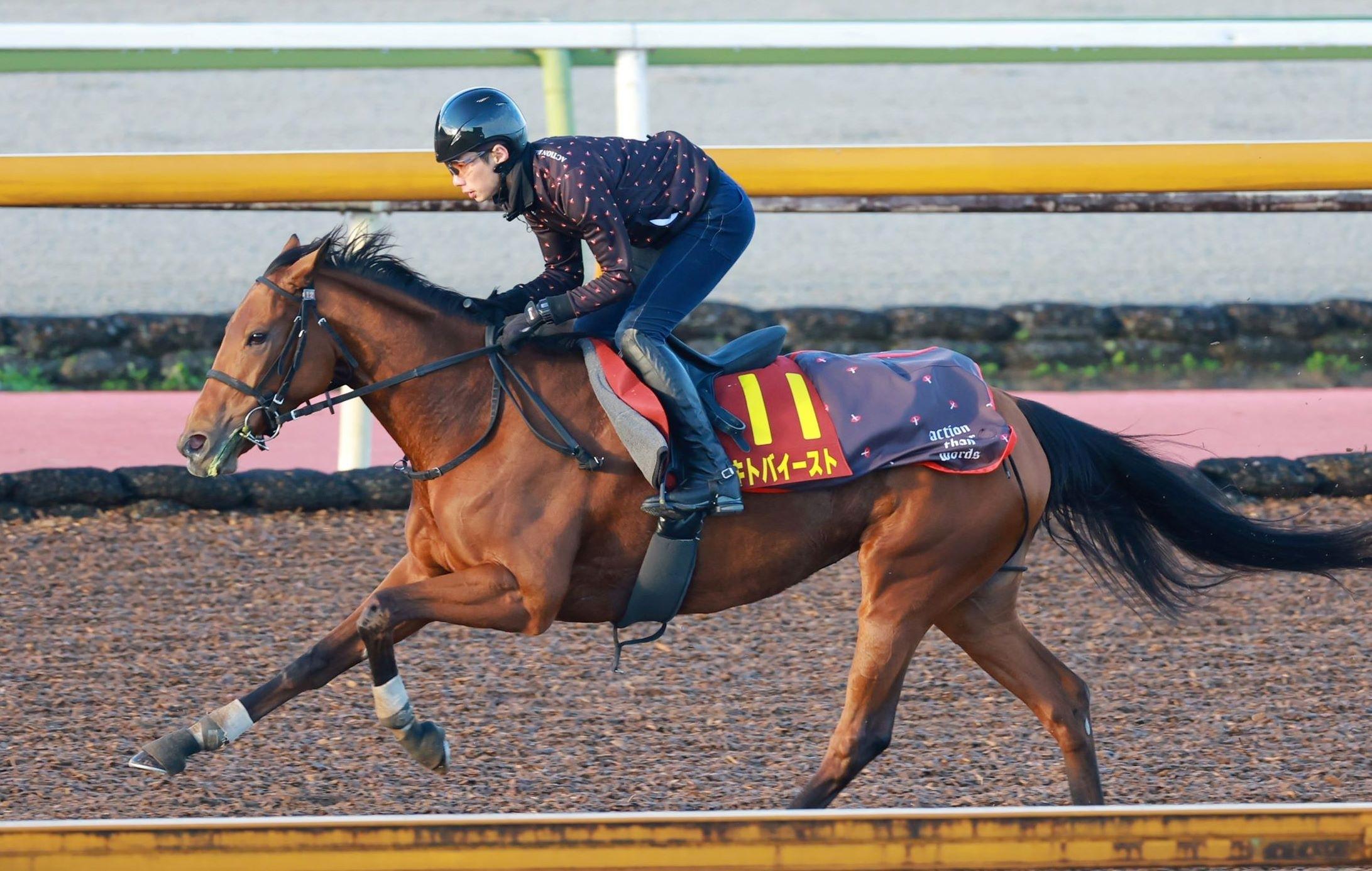 【エリザベス女王杯】セキトバイースト「動きはいいしフレッシュ」四位師が強調　馬場を味方に頂点狙う