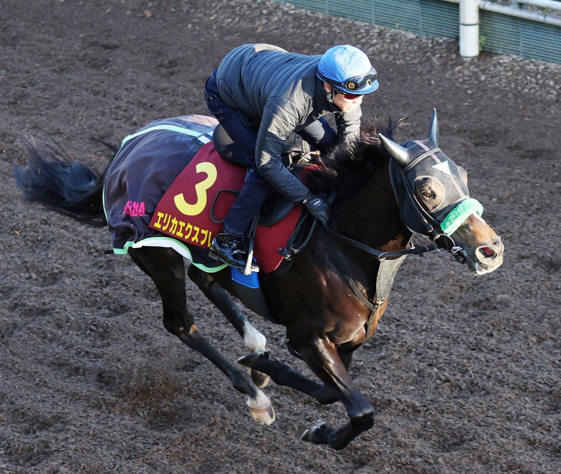 【エリザベス女王杯】武豊驚いた　エリカエクスプレスの圧巻リハに「思い切って乗りたい」