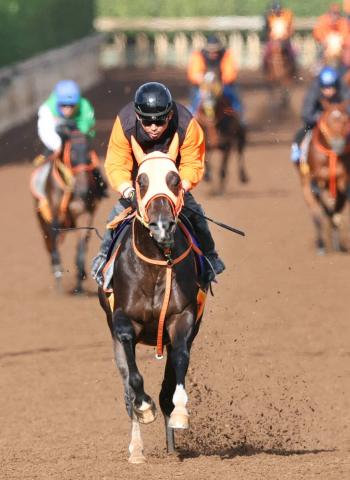 ڥޥCS1ۤǤ˻ž夬!դΥޥ벦󥿥ޥ󥿥˹ĴաܤäѤɤڤϤ⤦ɬפʤ