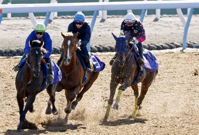 【マイルCS1週前】猛時計で好調アピール　レーベンスティールに田中博調教師「使った上積みを感じる」