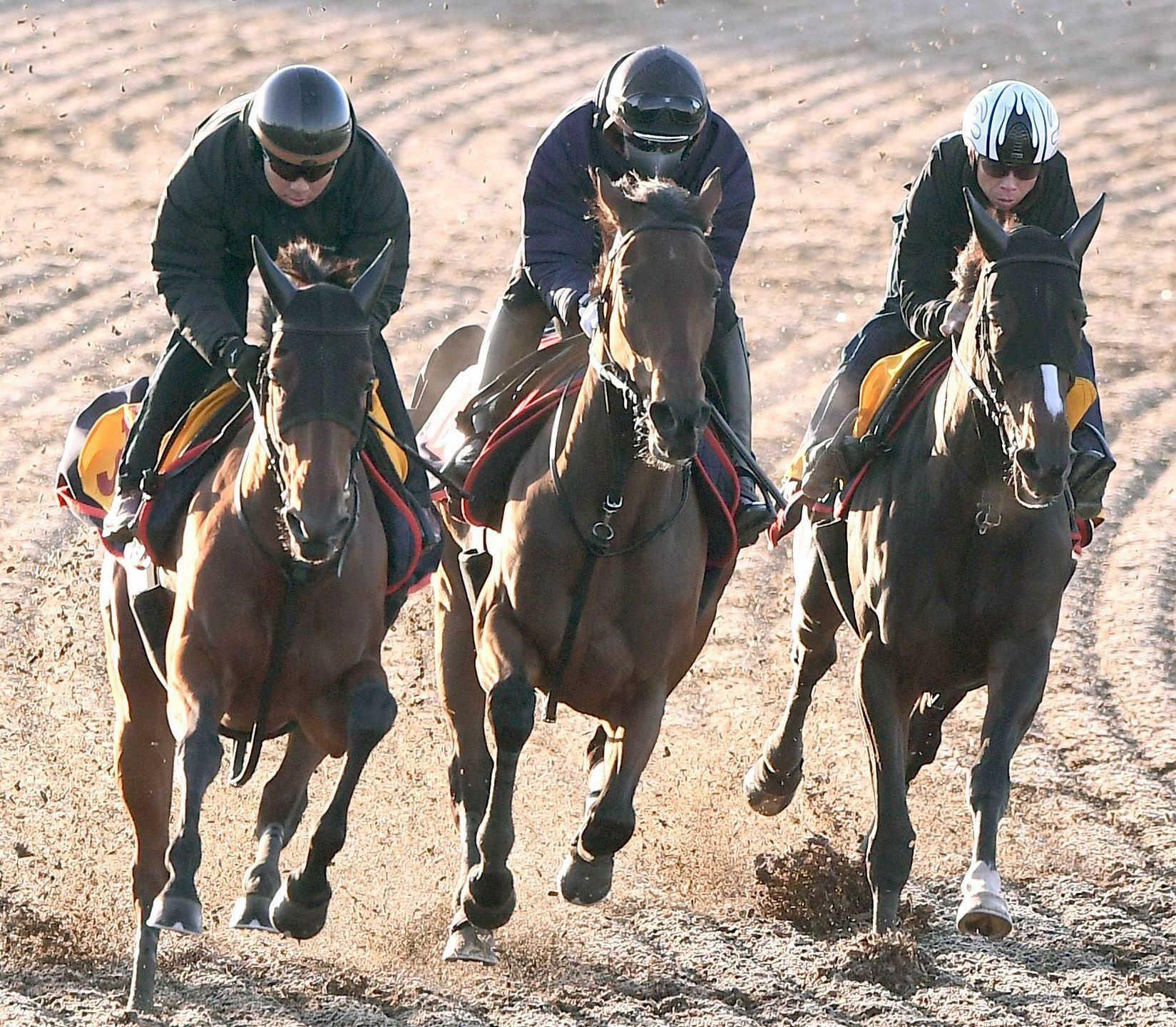 【エリザベス女王杯】昨年５着のレガレイラ  雪辱へ１馬身先着　木村師「設計図通りに」いざ３度目Ｇ１奪取へ