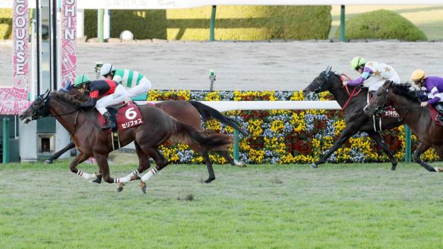 【デイリー杯2歳S・記録メモ】1984年以降、JRA重賞勝ち馬はわずか4勝　頭で買うのは?