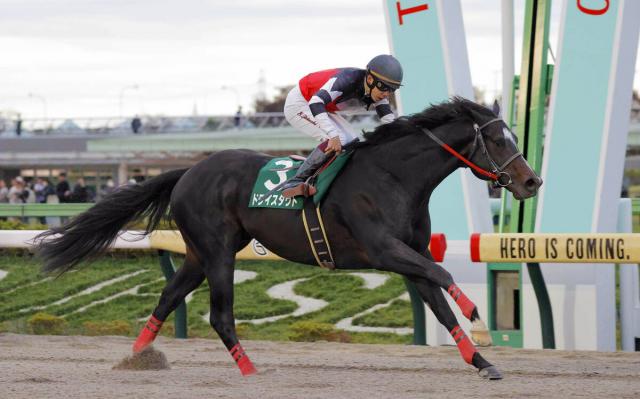 【武蔵野S・記録メモ】23年ドライスタウトなどG1級勝ち馬は過去10年で3勝