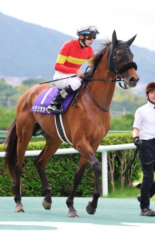 【注目馬動向】ベラジオオペラが香港カップ、ソウルラッシュが香港マイルの招待を受諾