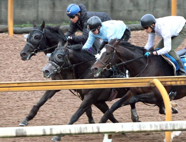 【ジャパンC・2週前】クロワデュノールが帰厩後、初時計　北村友一騎手「やるごとに良くなってくれる」