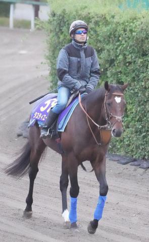 �����ƥ�������