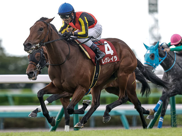 ڥꥶ٥աĴνšۥ쥬쥤482kgƥܥå480kg