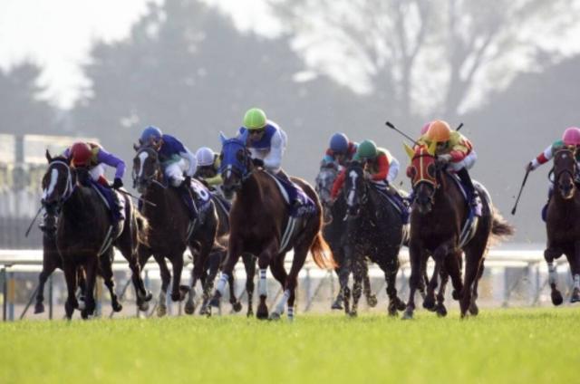 ĶʪϤä纮ĴƨΥ凉åȡĥꥶ٥ղ̾졼