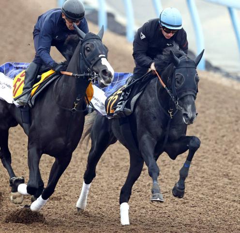 ݡ2S1ۡư϶Ƥ׹ץȥ˥ޡɵ꤬