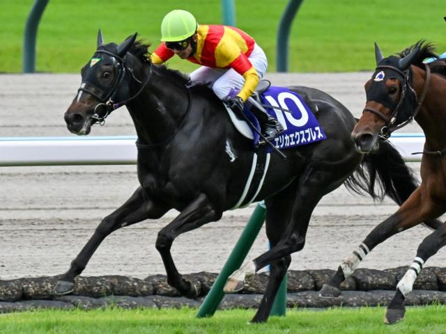 今週の武豊騎手は15鞍 エリカエクスプレスで21年ぶりのエリザベス女王杯制覇なるか