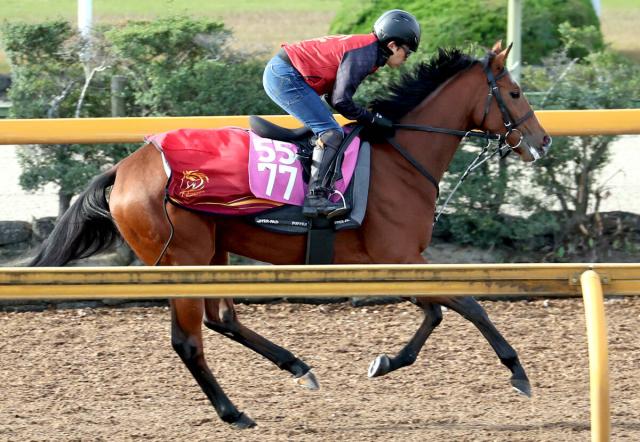 POGʡʱˤΥ󥰥ȡ륵꡼ۡ˭ȤΥӤǥǥӥ塼