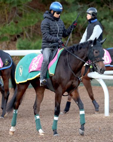 POGۥ졼̤15ε5Rǥǥӥ塼Ⱦ֥åԥͥʤɶƤ˽žޥʡ