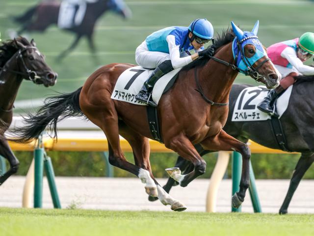 【デイリー杯2歳S予想】2歳馬同士の一戦は前走の経験が勝負の分かれ目!? 前走のパフォーマンスを鵜呑みにしづらい1頭とは