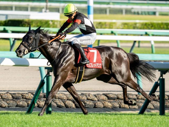 ڥꥶ٥աۿ͵ηϥƤ̩ 10ǯ100Υǡ