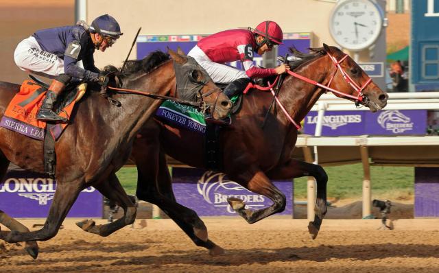 BCƥեС󥰤ɾѤ餺JC參󤬼塡٥ȥ졼ۡ󥭥