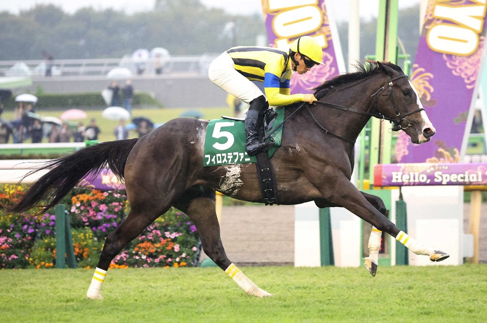 ƥߥƸ˱秱ȯɤΥեƥեˤ³Ԥǰष˿