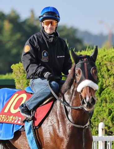 轵꡼ǥåΥ᡼뵳ꡡǯӤʬϤƤߤǶҤ64ԤǤ3