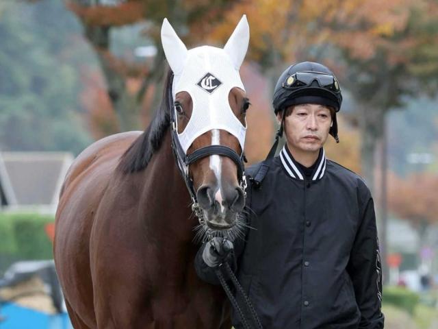 ڥꥶ٥աۥѥǥ졼̸Ϥͤˤ롪ǣƤءھޤ棳Ļա֡סɤäơ