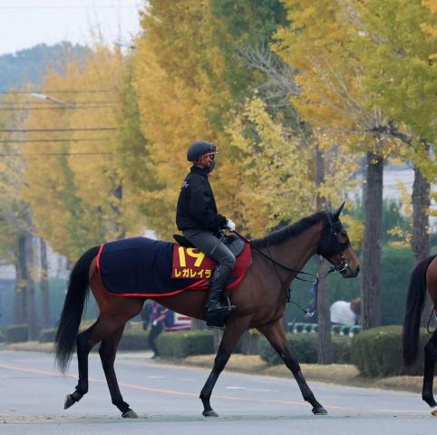 ڥꥶ٥աۺǯͭϵǰƼԥ쥬쥤47֡˭굳νھ2Ϥ36֡Ƚ