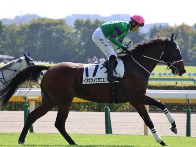 【週末情報】先週2勝と押せ押せムードの西田厩舎 今週はイヌボウノウタゴエを星勘定に/馬三郎のつぶやき