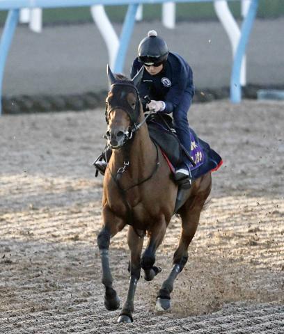 ¢Sۥե֥꡼SƼԥΥ24֡60ǰᥬͥ611֡Ƚ