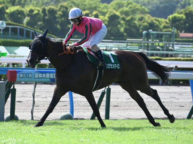 【福島記念想定馬・騎手】イングランドアイズ、アラタなど19頭