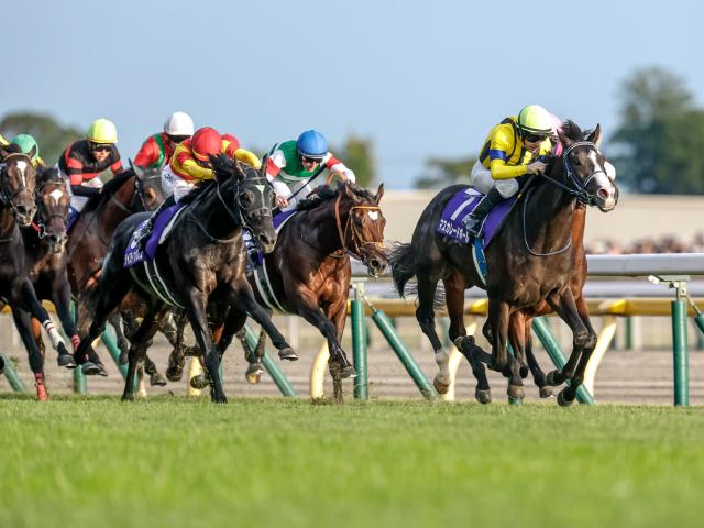 【ジャパンC想定馬・騎手】マスカレードボール、クロワデュノールなど16頭