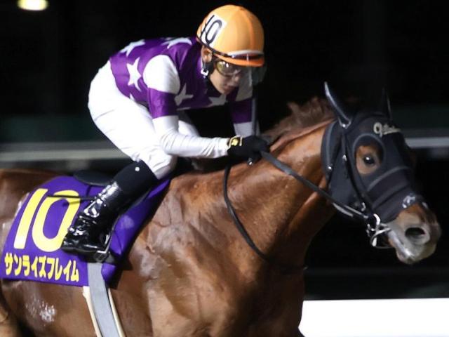 東京ダートはストームキャット系に要注意 武蔵野Sはサンライズフレイムが波乱呼ぶ